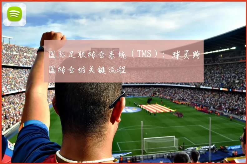 国际足联转会系统（TMS）：球员跨国转会的关键流程